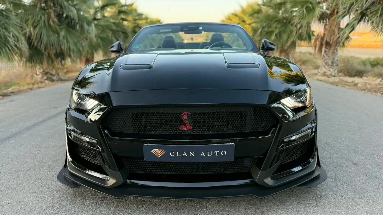 Ford Mustang GT 5.0