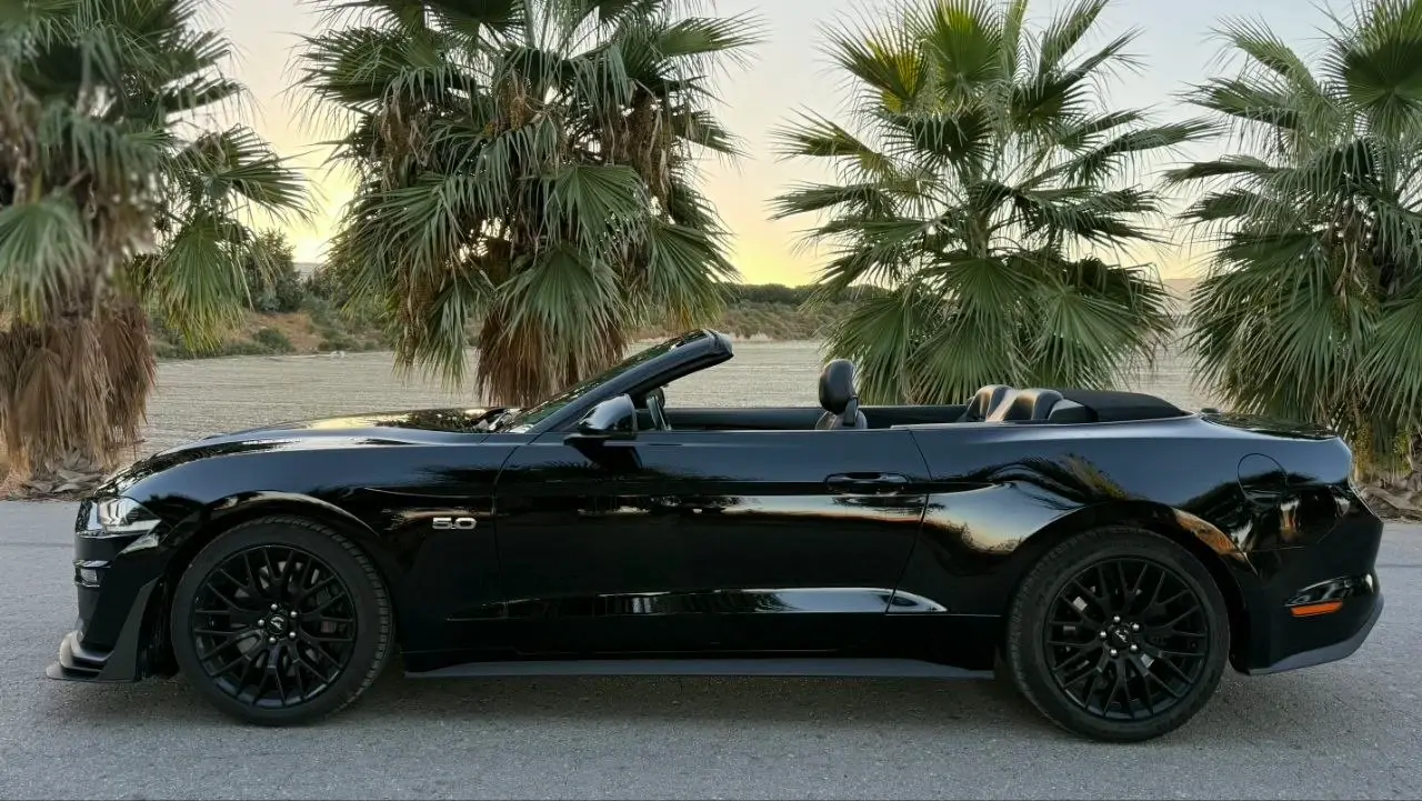 Ford Mustang GT 5.0