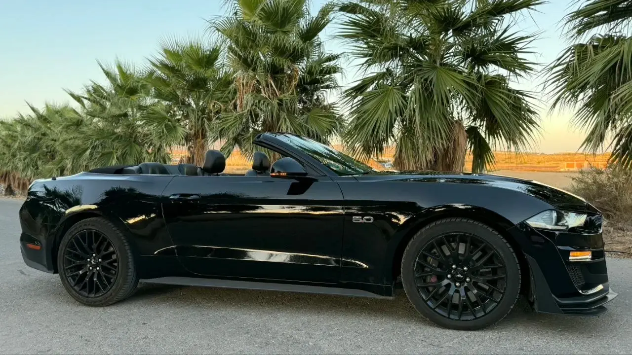 Ford Mustang GT 5.0