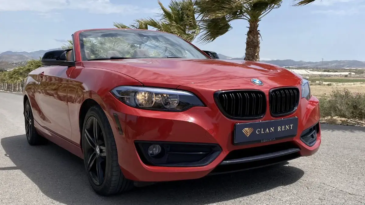 BMW 2 Cabrio 2020