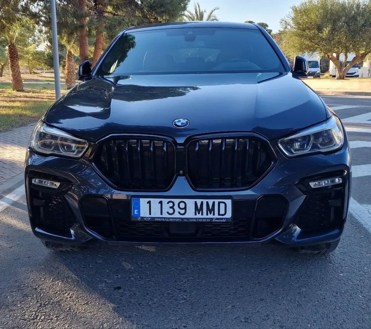 BMW X6