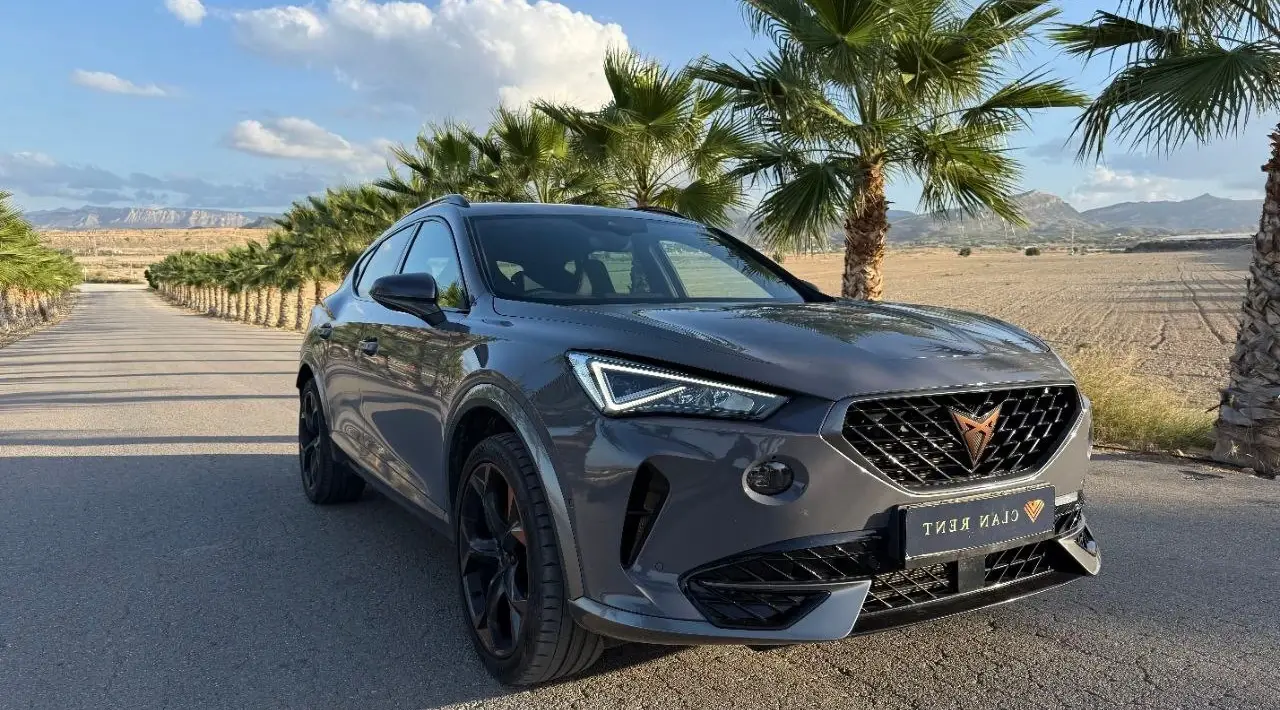 Сupra Formentor VZ 2.0 TSI