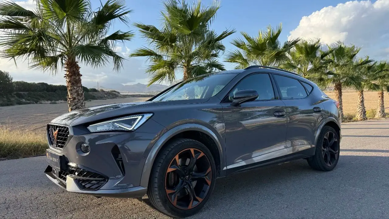 Сupra Formentor VZ 2.0 TSI