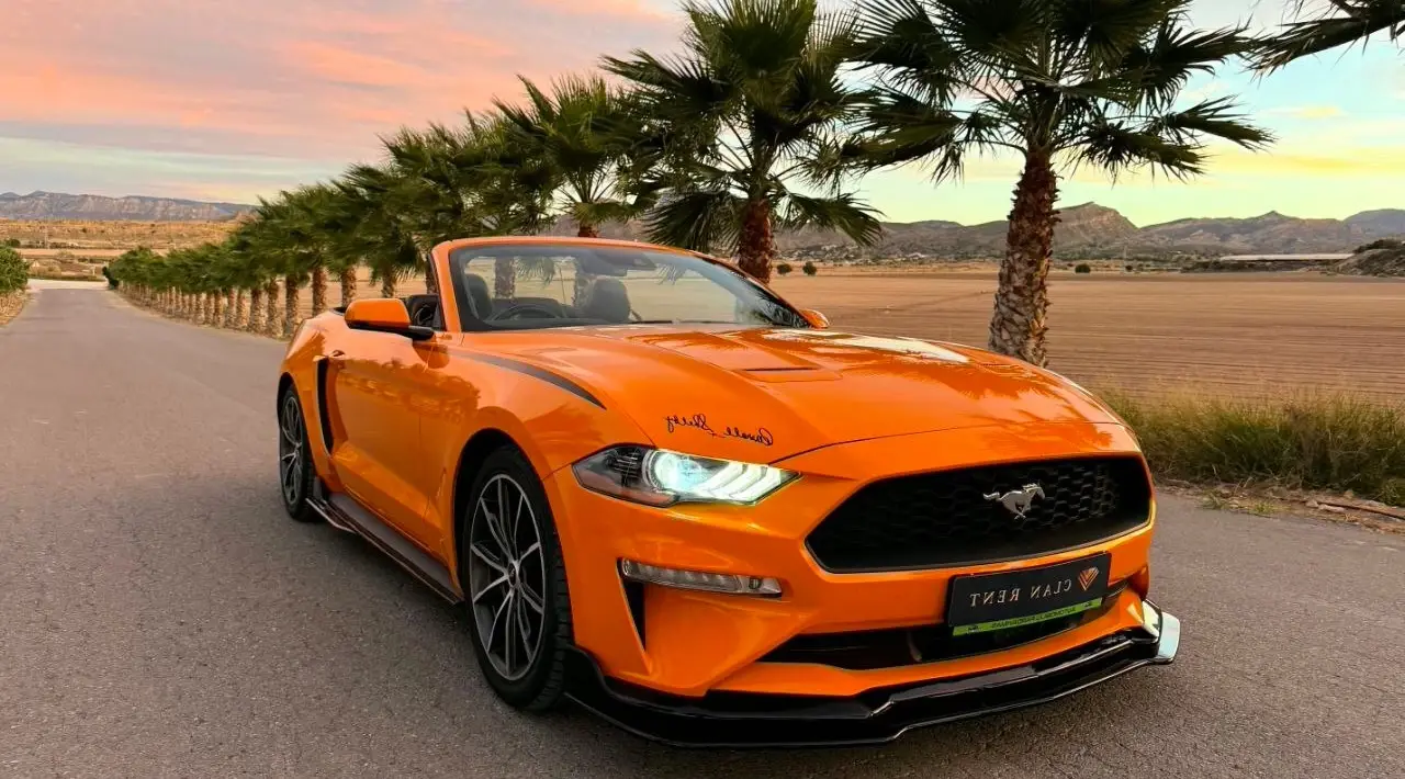 Ford Mustang Cabrio 2.3 Ecoboost 2022