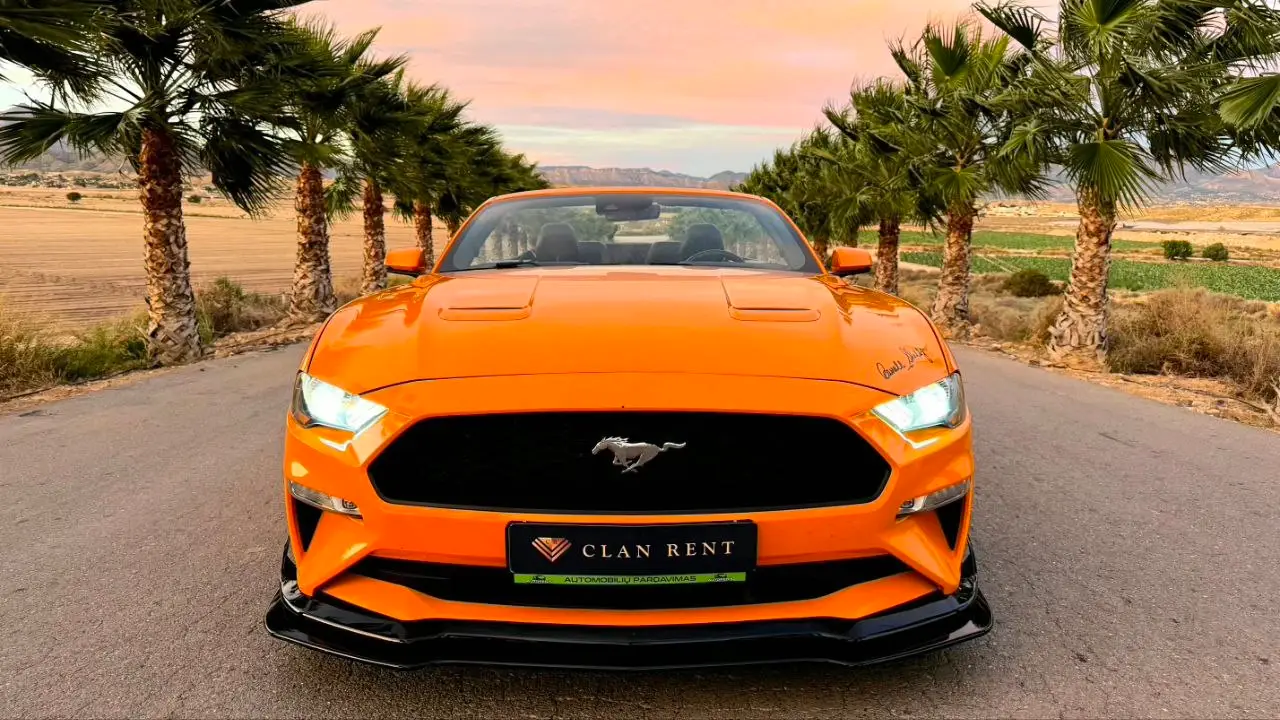 Ford Mustang Cabrio 2.3 Ecoboost